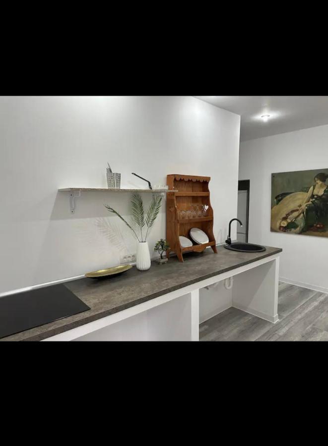 טימישוארה Piata Libertatii Apartament 1 Room מראה חיצוני תמונה
